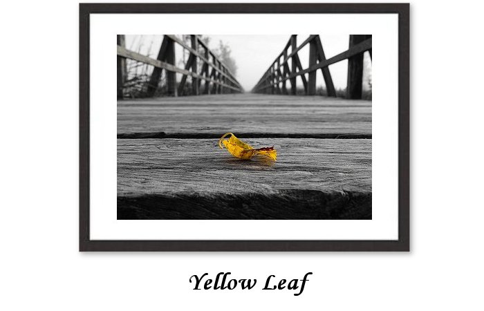 Yellow Leaf Framed Print